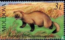 Endangered species