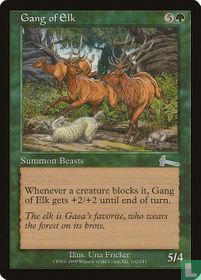 Gang of Elk