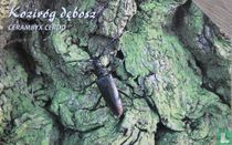 cerambyx debosz   Heldenbok