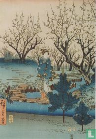 Plum blossom