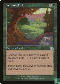 Verdant Field