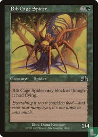 Rib Cage Spider