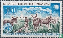 La faune