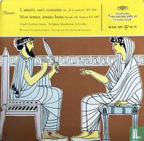 L’amero, saro constante