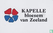 Kapelle bloesem van Zeeland