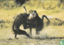 2003/09 - Utrikesdepartementet "Trubbel?"