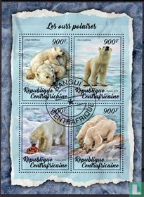 Polar bear