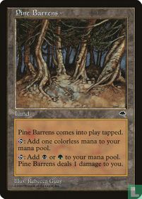 Pine Barrens