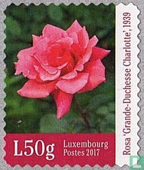 Rosen kaufen