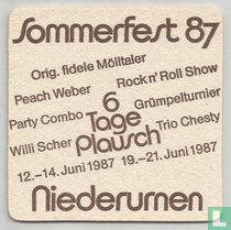 Sommerfest 87
