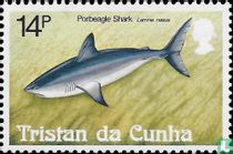 les requins