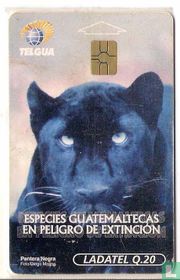 Especies Gualtemaltecas en Pelidro de Extincion