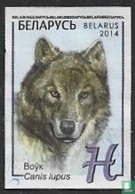 Wolf kaufen