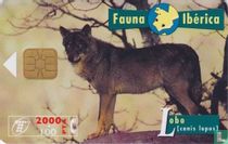 Lobo [canis lupus]