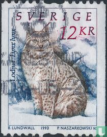 wilde Tiere