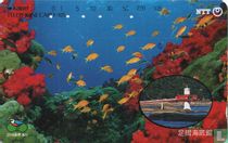 Ashizuri Underwater Observation Tower, Tosashimizu