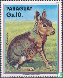 Animaux sauvages   