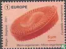 Micro-organismes