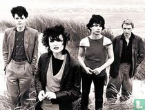 Siouxsie and the Banshees books catalogue