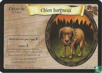 Chien hargneux