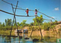 Bamboo bridge