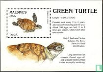 Conservation mondiale - Tortue imbriquée