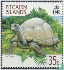 Tortue