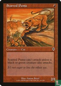 Scarred Puma