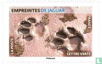 Animal footprints