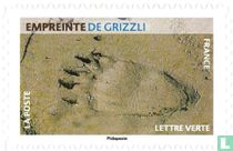 Animal footprints
