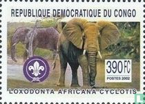 Large native mammals 