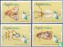 Insects 