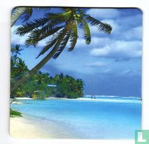strand met palm boom