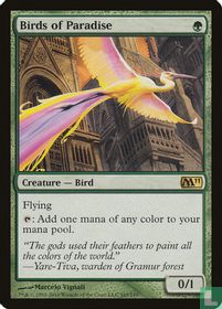 Birds of Paradise