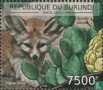 Cactus et faune africaine