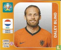 Daley Blind for sale