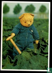 Teddybeer tussen kool