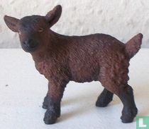 Marron enfant