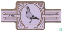 Pigeons cigar labels catalogue