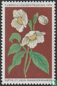 Tuberculosebestrijding