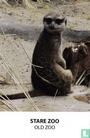 Old Zoo