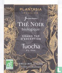 Tuocha