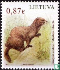 Mustelidae
