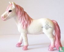 Star foal Thalda / SB