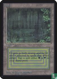 Bayou