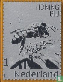 The Honeybee
