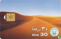 Desert Sand Dunes