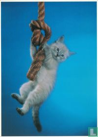 Hang in there