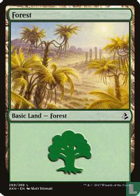 Forest