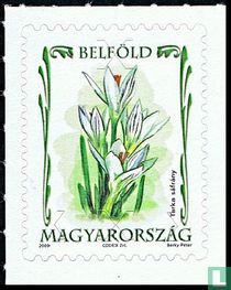 Protected flowers